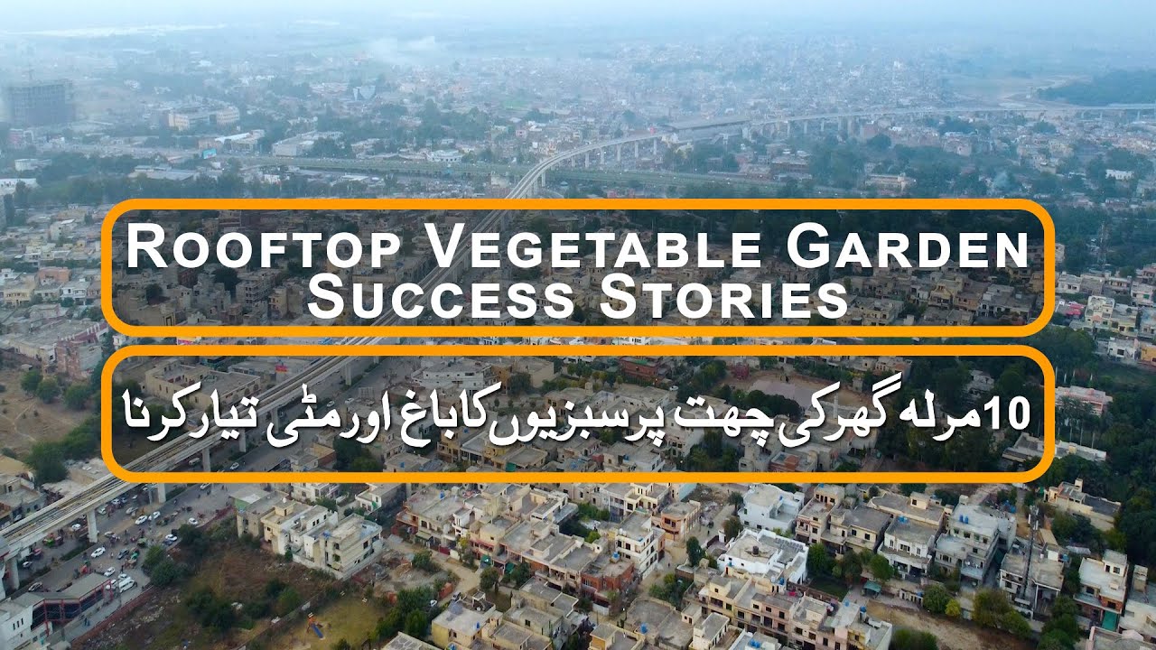Rooftop Vegetable Garden | How to Prepare Potting Soil