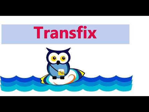 Video: Ką reiškia transfiksacija?