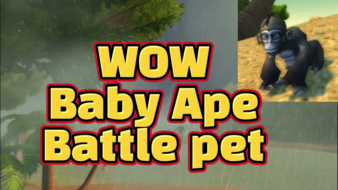 WOW Baby Ape Battle pet location: Eastern kingdoms Safari
