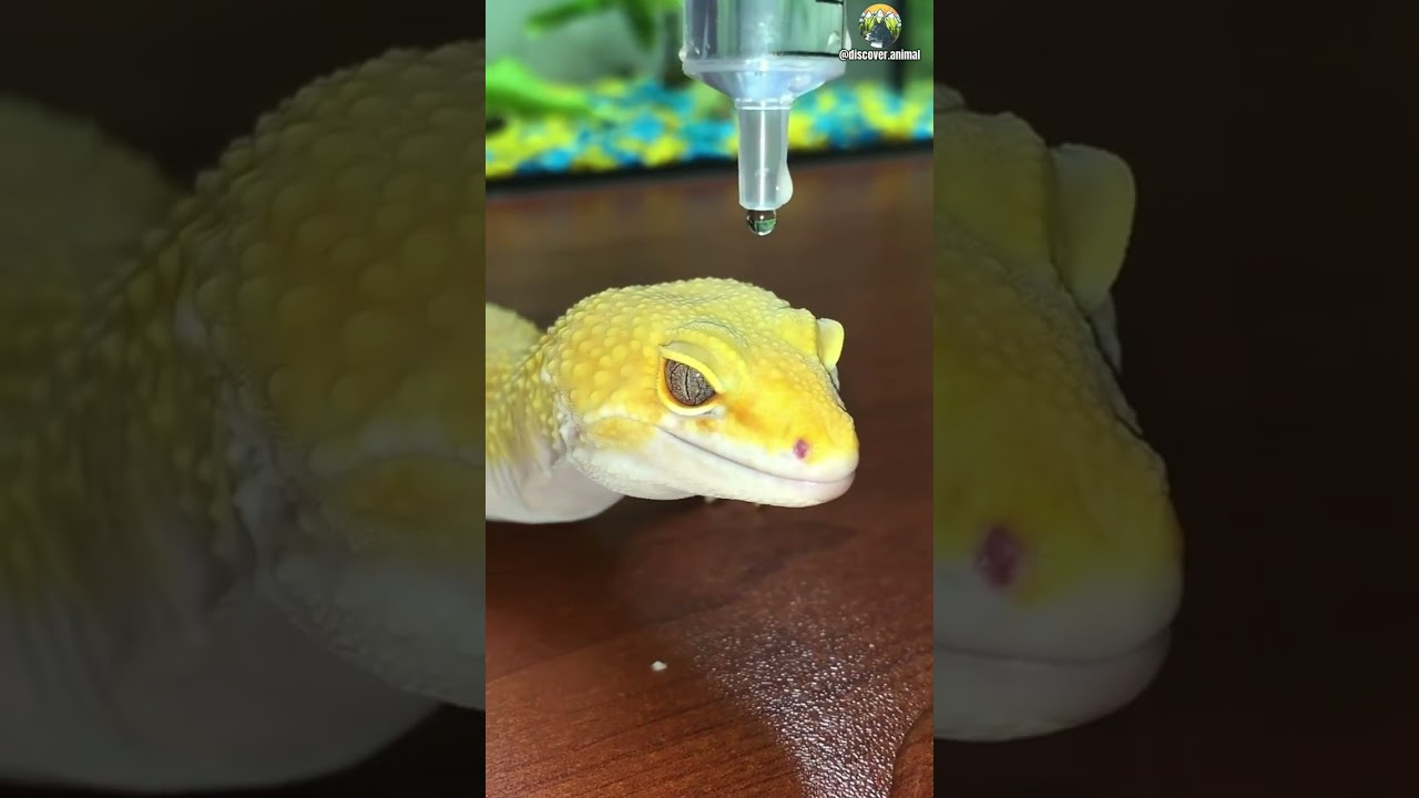 Waterproof Check✅☑️