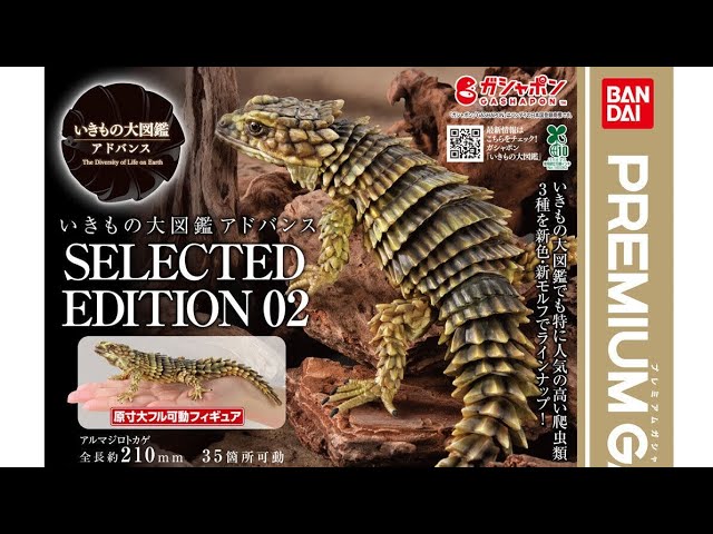 Ikimono Zukan Advance SELECTED EDITION 02 - YouTube