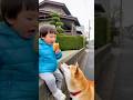 The dog stole the food and ran away 😂🐶　#dogshorts #kidsandpets #familyshorts