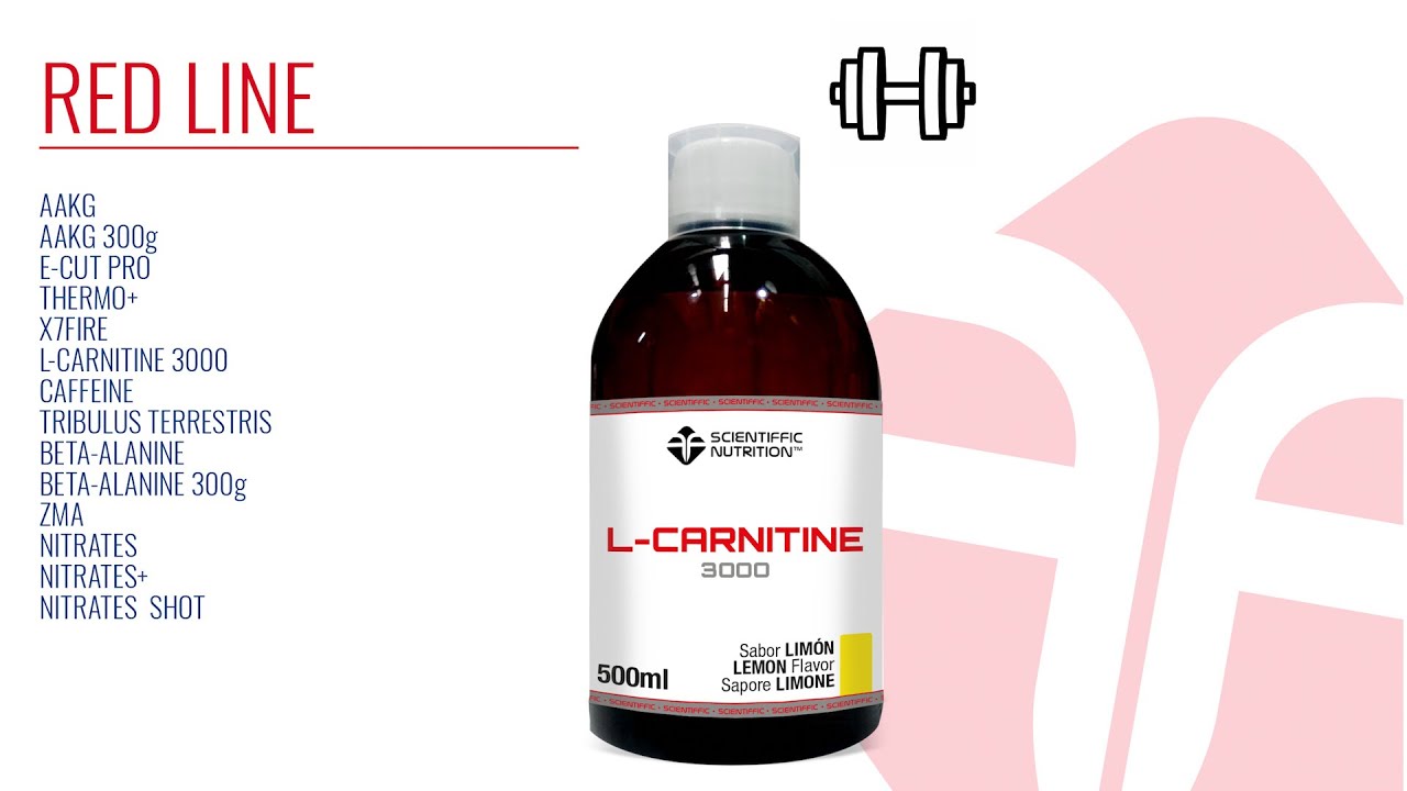 l carnitina con alcachofa liquida L-carnitina liquida - Red Line