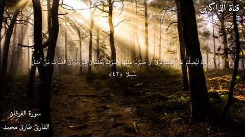 سورة الفرقان القارئ طارق محمد