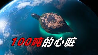 男孩挖出了一颗100吨的心脏！原来他们世世代代都生活在巨龟的背上！奇妙动画电影《奇异世界》