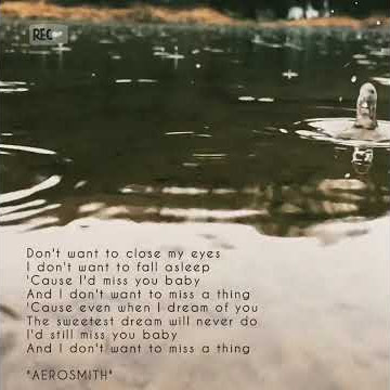 Story channel - I Don't Want to Miss a Thing (Story WA-IG)