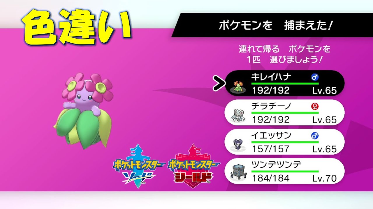 色違い ポケモンソードシールド キレイハナ ダイマックスアドベンチャー Shorts ポケモン関連情報のまとめ動画