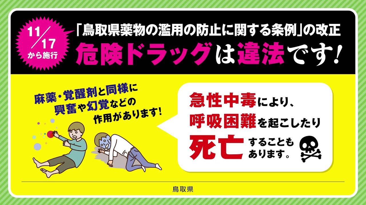 啓発 とりネット 鳥取県公式サイト 啓発 とりネット 鳥取県公式サイト
