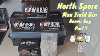 North Spore Boomr Bag Monotub Grow Pt.1 | My First Monotub Grow | Spawn to Bulk #mycology #mushroom