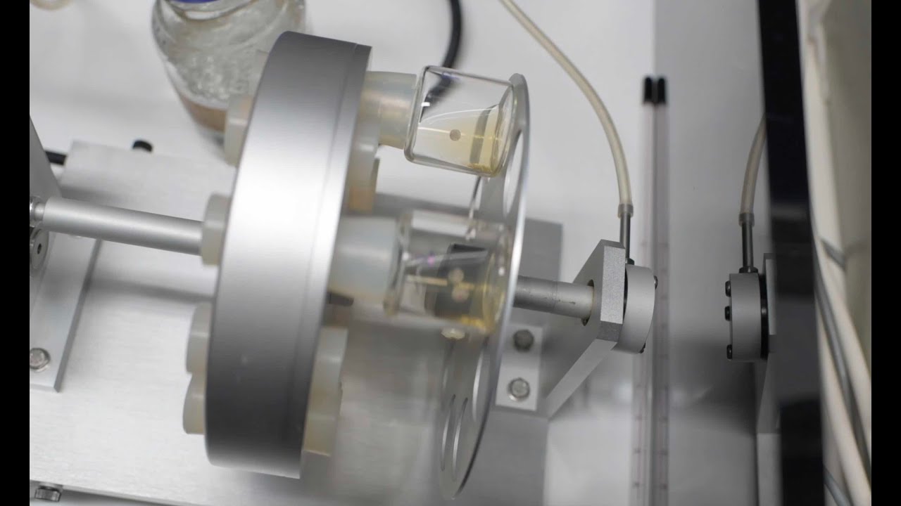 Advanced mouse embryos grown outside the uterus (ex utero)