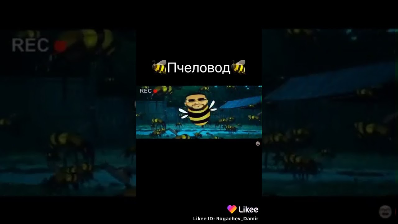 Ты пчела я пчеловод ???????????? - YouTube