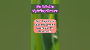 bón thừa phân lân ảnh hưởng đến cây trồng như thế nào