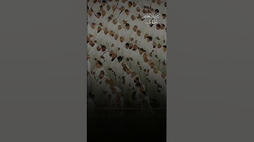 #ماهر_المعيقلي صلاة العشاء من تلاوة للشيخ ماهر المعيقلي من سُورة طه ١٢ ربيَع الآخَر ١٤٤٦هـ