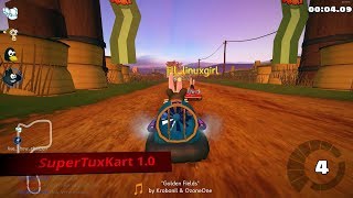 SuperTuxKart 1.0 Multiplay (Linux)