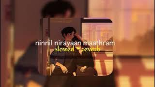 ninnil nirayaan maathram ( mazha s l o w e d   r e v e r b ) | shikkari shambhu | lilvibe