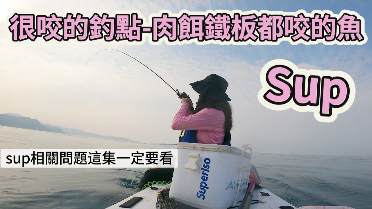 ►品品釣魚去◀肉餌+鐵板都會咬的高級魚種.小搞搞.船釣.台湾の女性釣り Taiwan girl fishing 대만 여성 낚시 女漁師.sup.滿點生技.生牌南極蝦.
