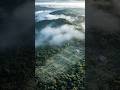 Satellite Images Reveal Hidden Lines Beneath Dense Jungle