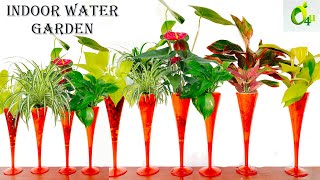 Grow Beautiful Plants In Water With This Table Top Water Garden! |Indoor Water Garden/ Garden4u