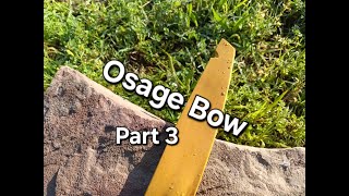 46" Osage Bow - Starting to bend/Nocks