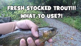 The BEST BAIT for FRESH STOCKED TROUT?! Fall Trout Fishing 101! (Philadelphia, PA)