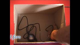 Celebrity DIY - Multitouch mini - Digitalic Profile