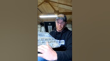 This actually works well! #youtube #shorts #fish #save