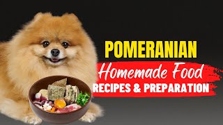 Homemade Food For Pomeranians | Recipes And Preparation Method | Dogs Genesis | @DogsGenesis