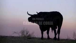 TOROS DE CASILLAS DE CORIA, SAN RAMÓN 2013
