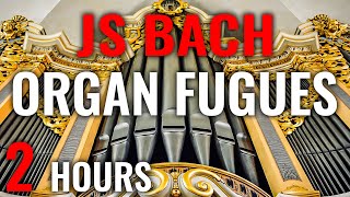 20 ORGAN FUGUES by JS BACH | 18 Organs & 11 Organists (Bach Organ Music)