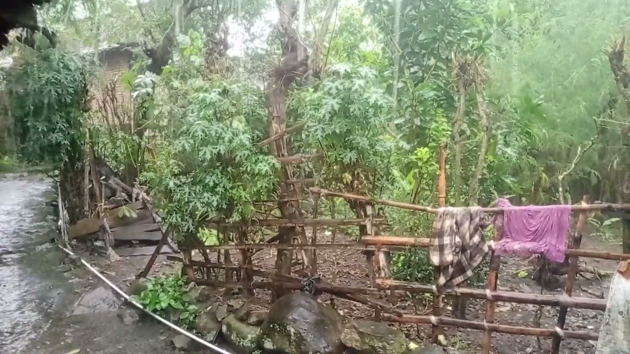 ASMR HUJAN LEBAT DI SORE HARI