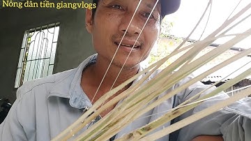 Cách Nông Dân Làm Cần Câu Cắm Cá Đơn Giãn #NÔNGDÂNTIỀNGIANGVLOGS