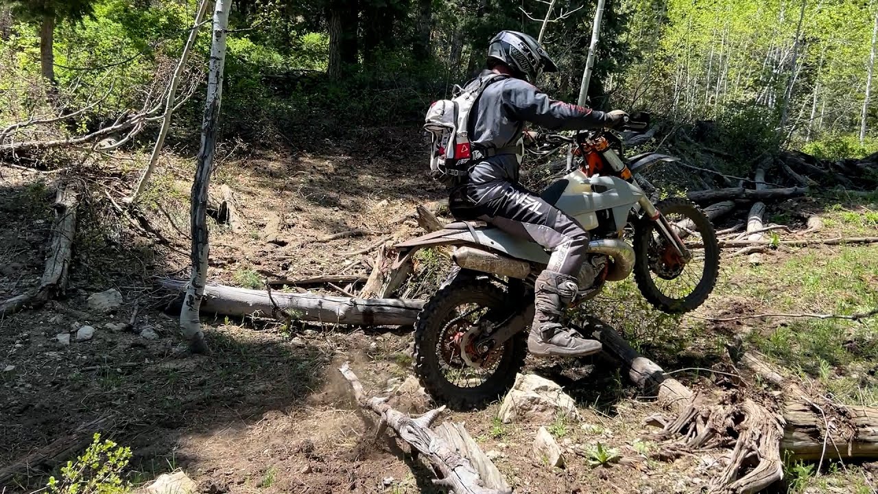 Bushwacking Hobble Creek...not solo, but still stupid/having fun