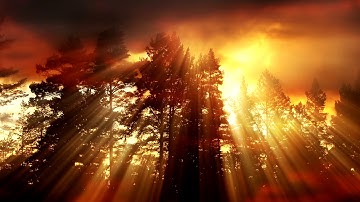 97. Al-Qadr (Allmaktens natt), Svenska, Raad Al-Kurdi,  سورة القدر