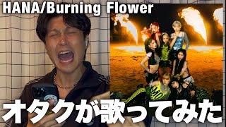 Download Lagu 【HANA】限界オタク/ Burning Flower 誇張して歌ってみた！！ MP3