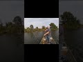 giant crappie and bass fishing