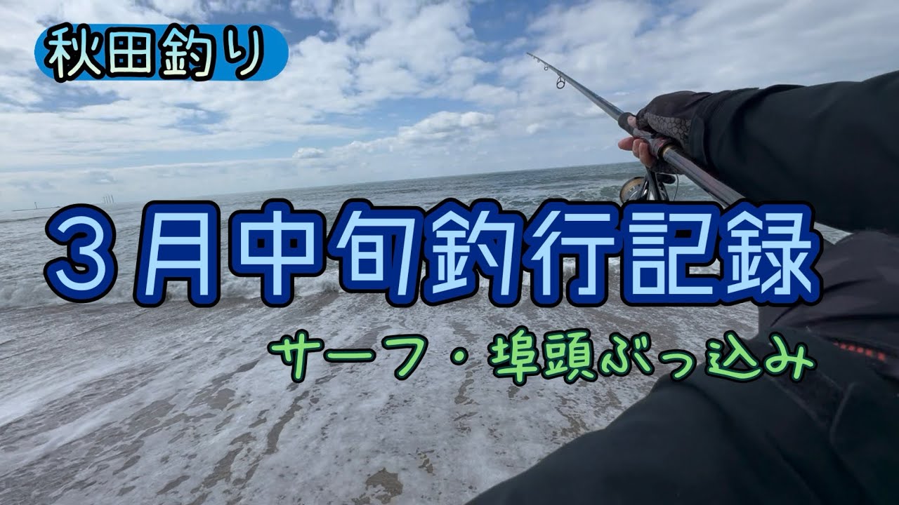 Akita Fishing] Mid-March 2026: Bottom fishing record from the pier