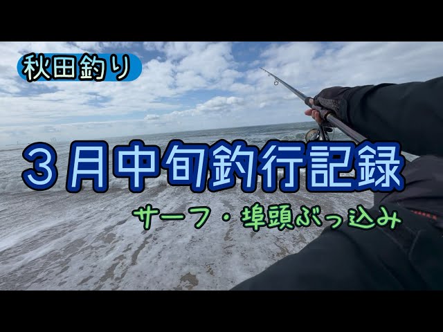 Akita Fishing] Mid-March 2026: Bottom fishing record from the pier