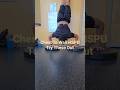 Chest To Wall HSPU Try These Out #calisthenics #relativestrength #handstandpushup #shoulderworkout
