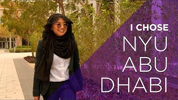 Get to know NYU Abu Dhabi
