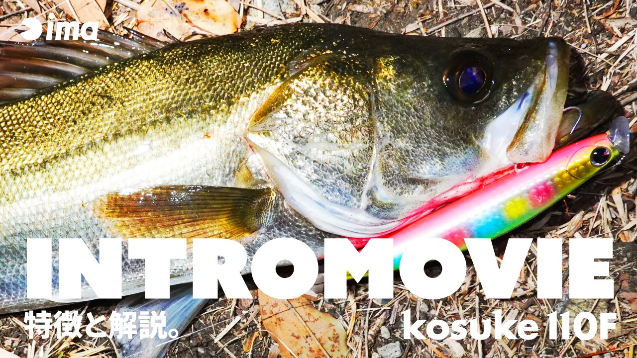 INTRO】kosuke 110F | Features and Explanation. - YouTube