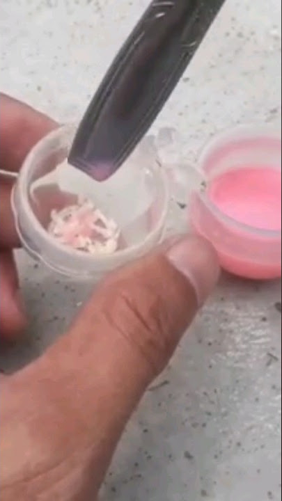 How to train konin to eat kroto #shorts