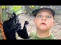 RETURN of THE DEER LADY-Caleb Searches for the DEER WOMAN in the WOODS!