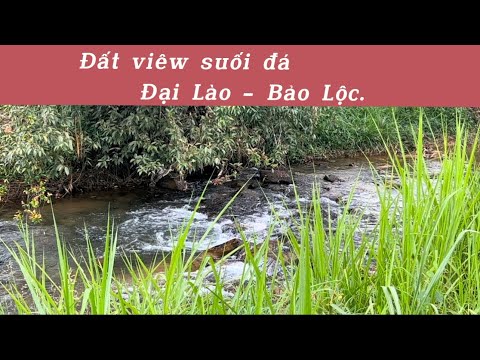 Video Đất viêw suối đá Đại Lào, Bảo Lộc | Hơn 100m giáp suối... - youtube
