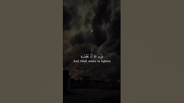 تلاوه تريح الأعصاب |#قران_كريم #تلاوة_خاشعة #راحة_نفسية #قرآن #الله #اكسبلور #duet #لايك