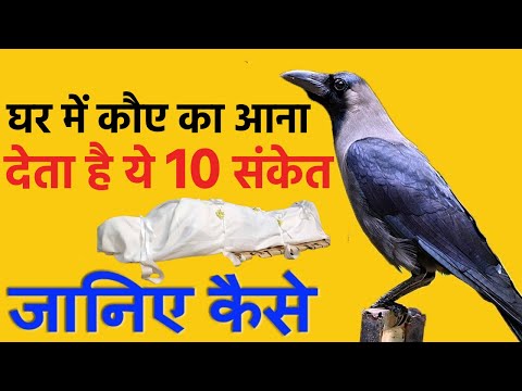 वीडियो: लंदन में स्टाइलिश जॉर्जियाई हाउस ताजा बदलाव का सामना करता है