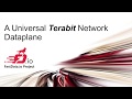 Fdio a universal terabit network dataplane