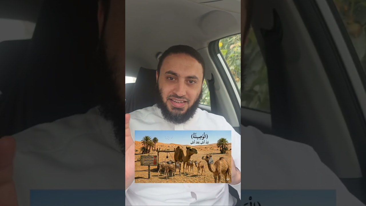 ما معنى(بحيرة - سائبة - وصيلة - حامٍ)؟ في #سورة_المائدة