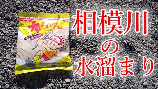 【川釣り】相模川の水溜まりでのんびり醤油の話【小物釣り】