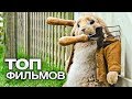 10 СЕМЕЙНЫХ ФИЛЬМОВ ПРО ГОВОРЯЩИХ ЖИВОТНЫХ!