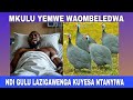 ZIGAWENGA ZA MCP ZAOMBERA MUNTHU OLAKWIKA KUYESA NTANYIWA ZIGAWENGA ZA MCP ZAOMBERA MUNTHU OLAKWIKA KUYESA NTANYIWA